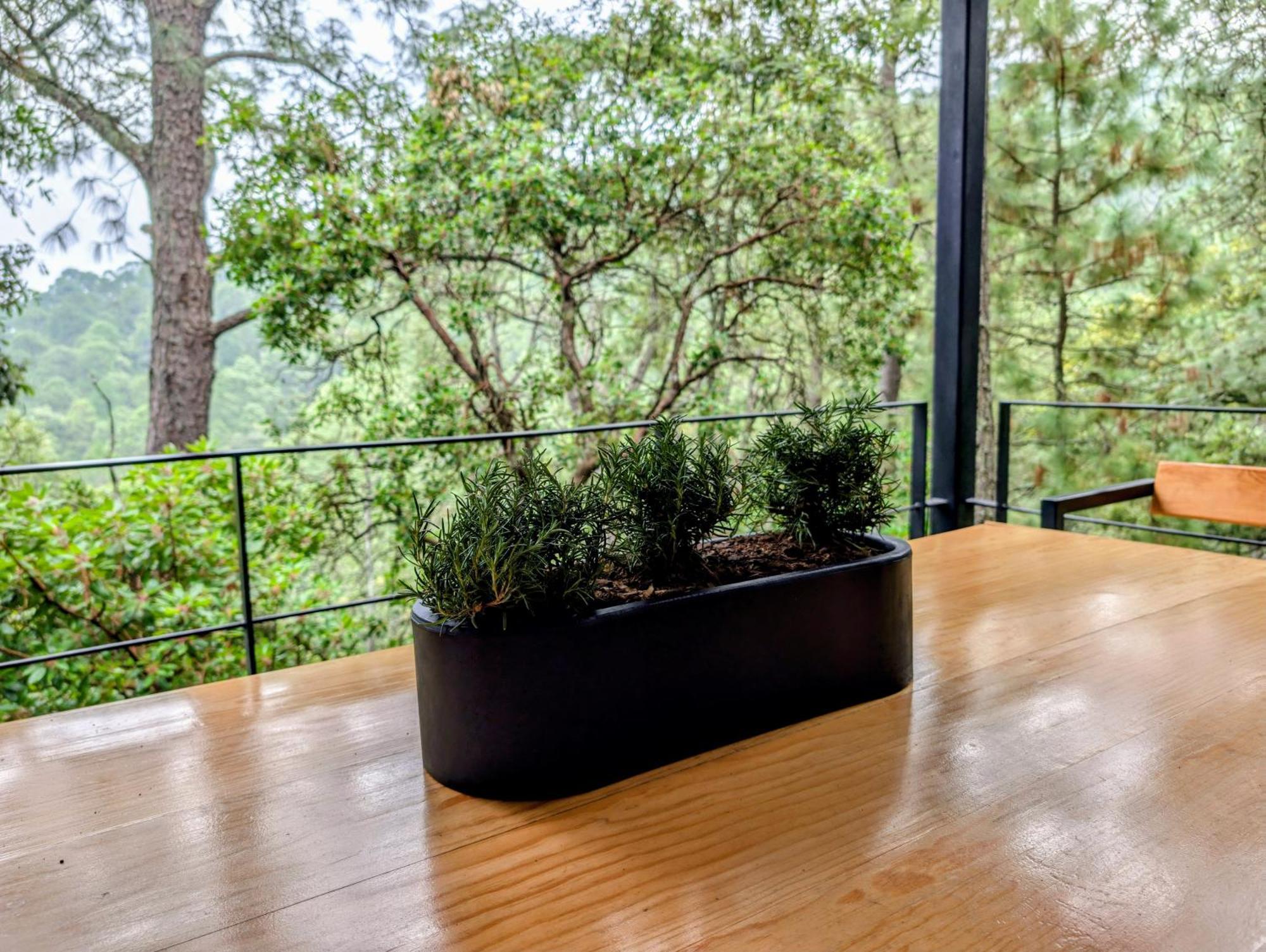 Cabana La Finca Mazamitla Kültér fotó