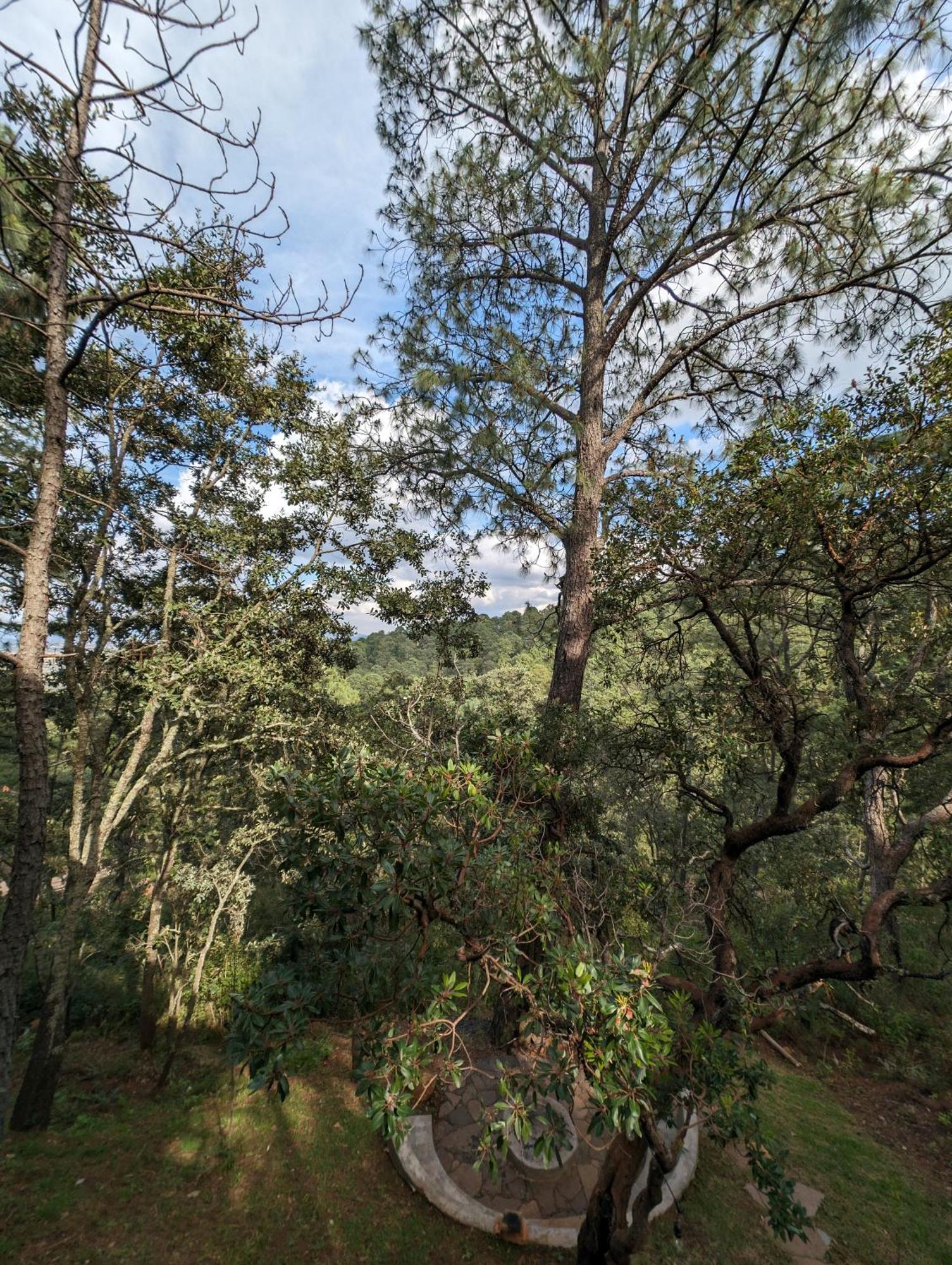 Cabana La Finca Mazamitla Kültér fotó